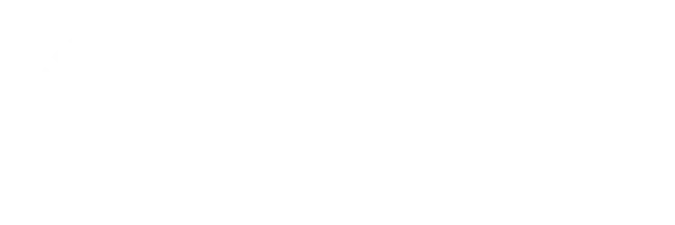 Poxibilis Logo